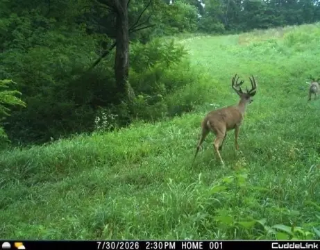 Hunting Land with Ponds