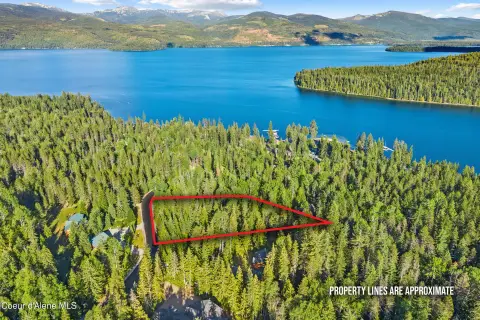 Treed Waterfront Recreational Lot