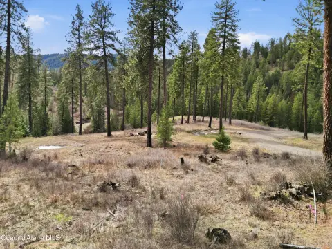 Hunting Land with Timber and Well