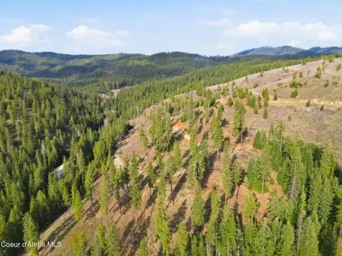Recreation Land with Creek Frontage