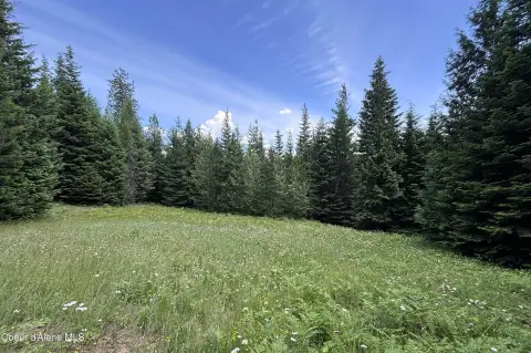 Wooded Parcel in Gated Community