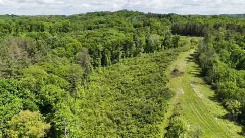 79 Acres of Prime Hunting Land