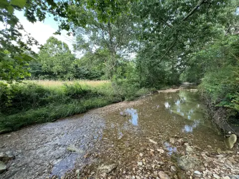 60-Acre Land in Mountain Grove
