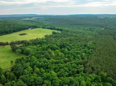 Recreational Land in Cleburne County