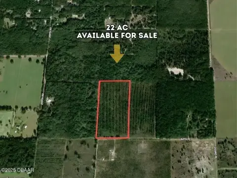 Commercial Land in DeLand, FL