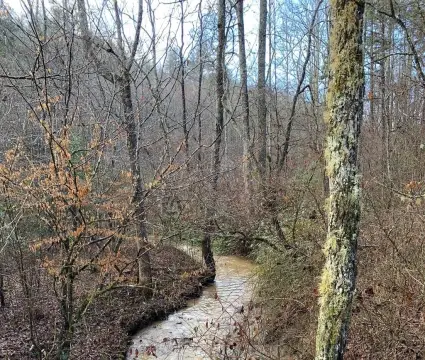 Creekfront Lot in Murphy, NC