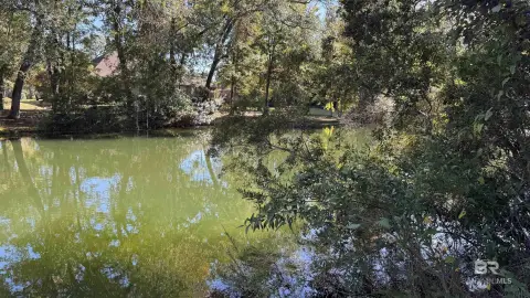 Waterfront Lot in Daphne Community