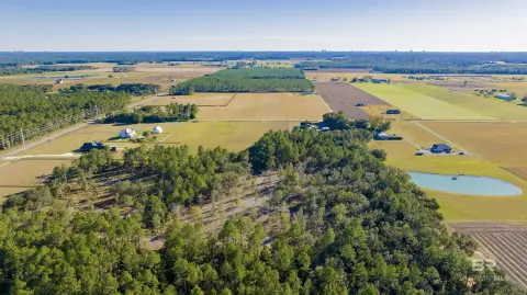 8-Acre Parcel in Elberta, AL