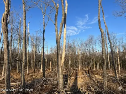 Pocono Farms East Residential Lot