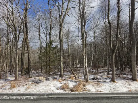 Half Acre Land in Poconos