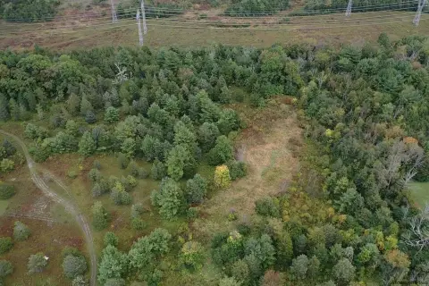 Commercial Land