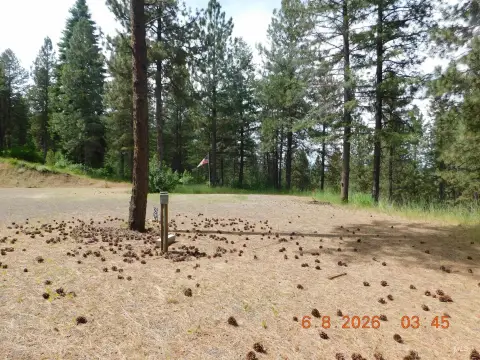 Wooded Residential Land with RV Power