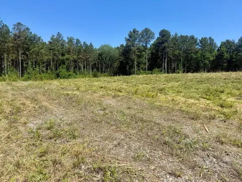Land Near Bankhead National Forest
