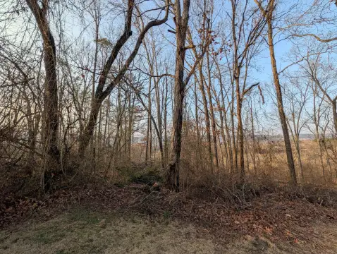 Residential Land in Rockwood, TN