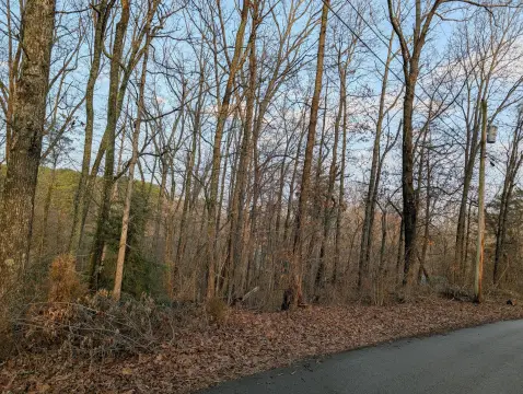 Residential Land in Rockwood, TN