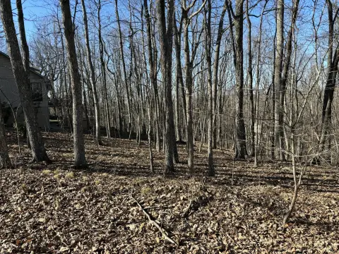 Buildable Lot in Druid Hills