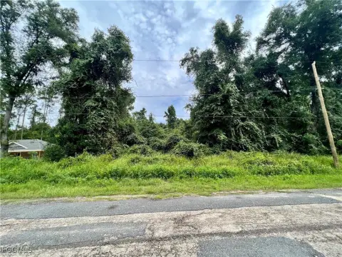 Residential Land in Citrus Springs