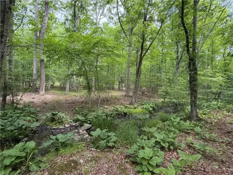 Wooded Residential Land Parcels