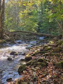 Creekside Lot in Andrews, NC