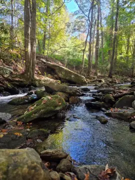 Creekside Retreat in Nantahala Forest