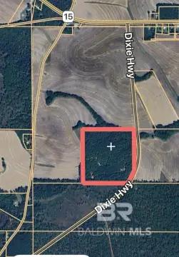 39 Acres Near National Forest