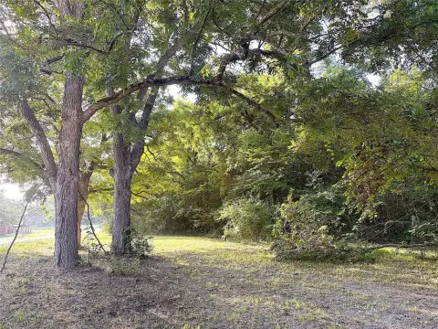 2 Acres of Land in Bells