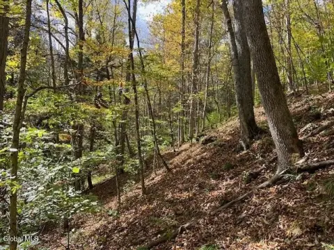 Wooded Recreation Land