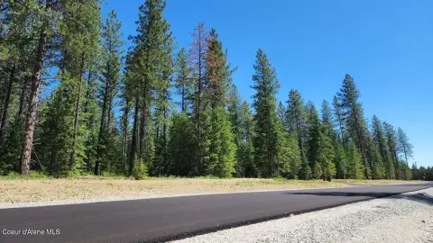 Rural Forest Home Site