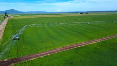 McArthur Farm/Estate with Pivot Fields