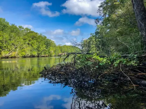 Crawfordville Land with River Frontage