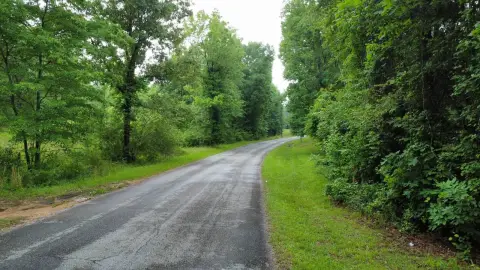 Hunting Land with Road Frontage