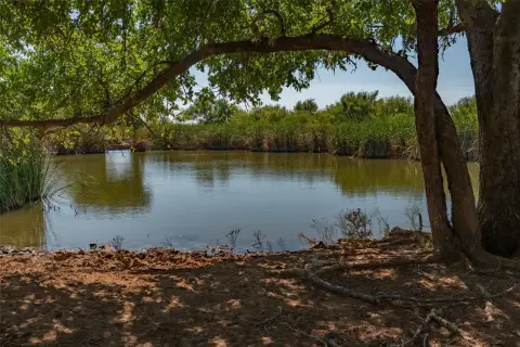 Working Cattle Ranch with Water