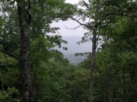 Land with Amazing Views