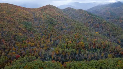 Wooded Land Near Santeetlah Lake