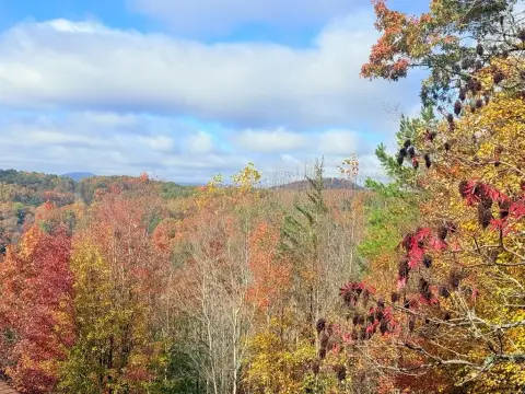 Land with Mountain Views