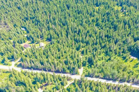 Hunting Land with Mature Timber