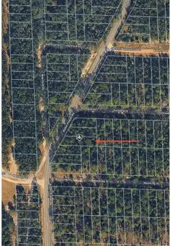 Vacant Lot in Interlachen