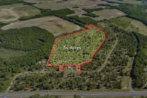 34 Acres Near Lake Blackshear