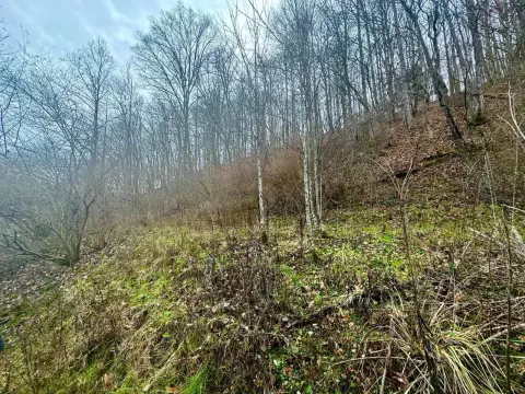 Creekfront Hunting Land
