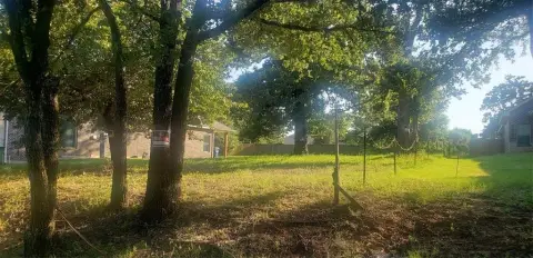Vacant Land with Oak Trees