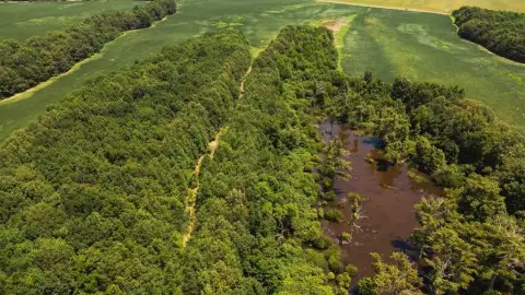 Hunting and Farm Land Tract