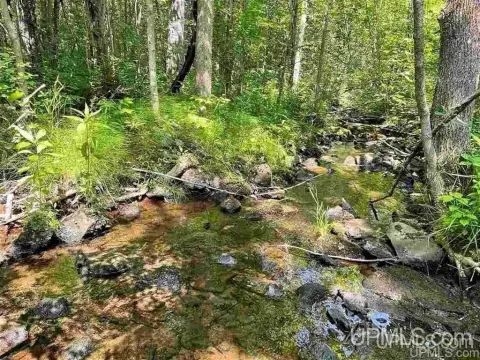 Hurley Vacant Land with Mineral Rights