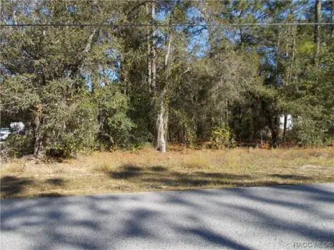 Residential Land in Citrus Hills
