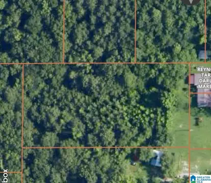 Residential Lot in Childersburg, AL