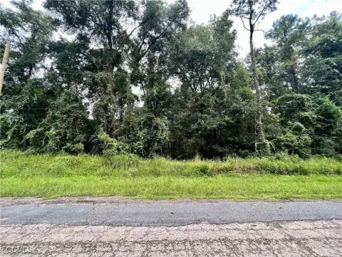 Citrus Springs Land For Sale