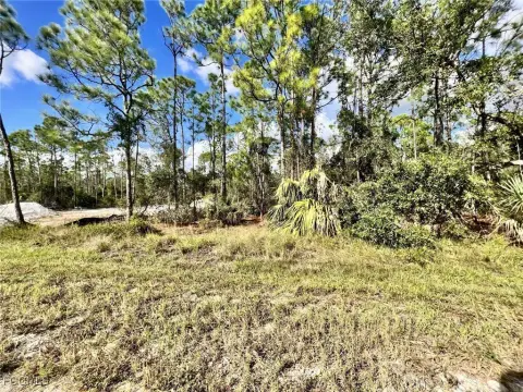 Punta Gorda Land For Sale
