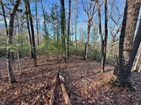 Mountain Lot in River Ridge