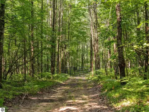 Wooded Hunting and Recreation Land