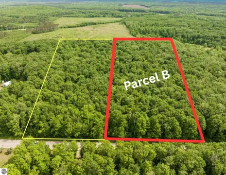 Wooded Recreational Land Parcel