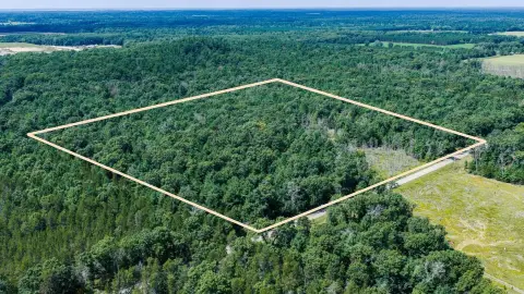 Wooded Hunting Land